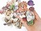 Mixed Natural Sea Shells 80-85PCS for Beach Decor, Assorted Seashells for DIY Crafts, Wedding Party Decorations, Candle Making, Fish Tank Accessories, Vase Fillers, Coastal Home Decor